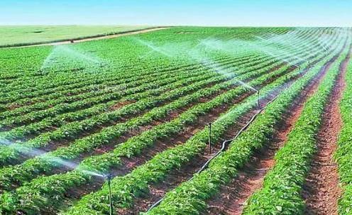 国产美女破处视频农田高 效节水灌溉